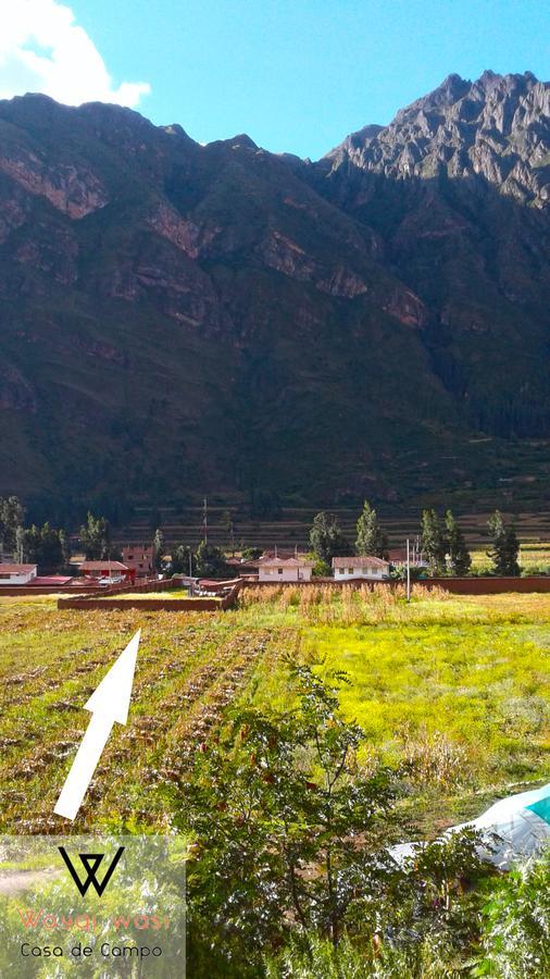 Wayqi Wasi Guest House Pisac Exterior photo
