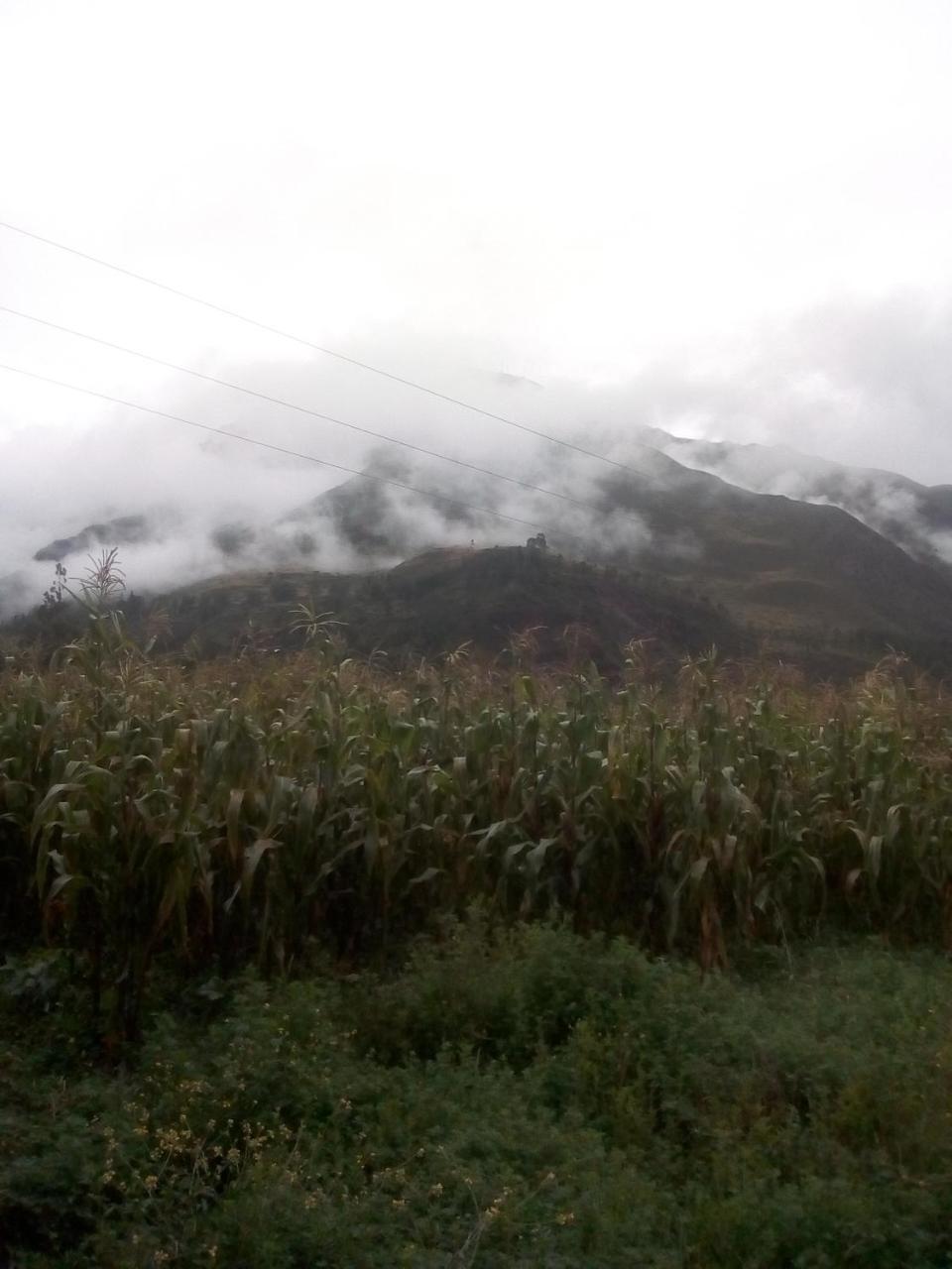 Wayqi Wasi Guest House Pisac Exterior photo